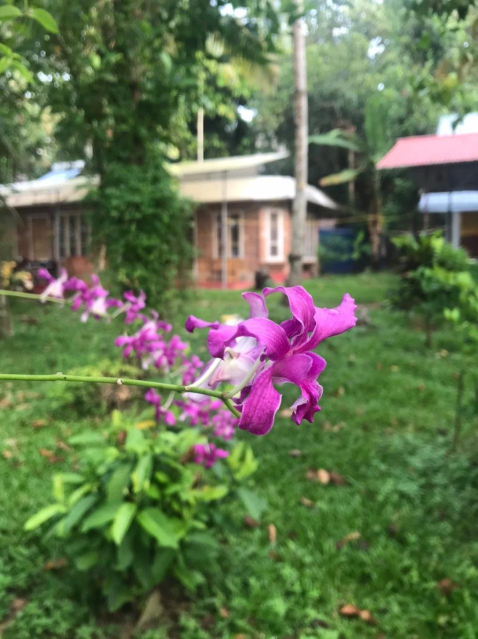 Ashtamudivillas Kollam Ngoại thất bức ảnh